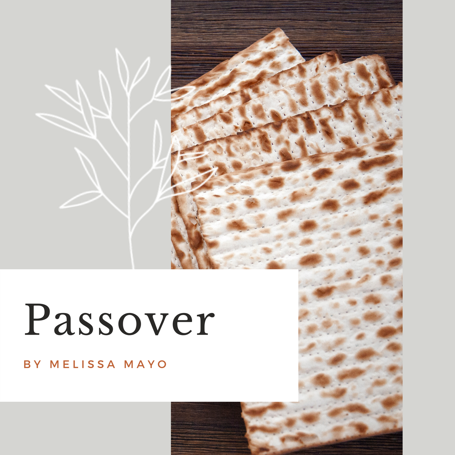 Passover Cookbook - Digital Ebook
